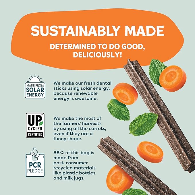 Shameless Pets Carrate Chomp Carrot Dental Chews for Dogs – Natural Dog Dental Sticks for Fresh Breath, Teeth Cleaning & Removes Tartar, Grain-Free Dog Treats, No Corn or Soy, 8 Sticks