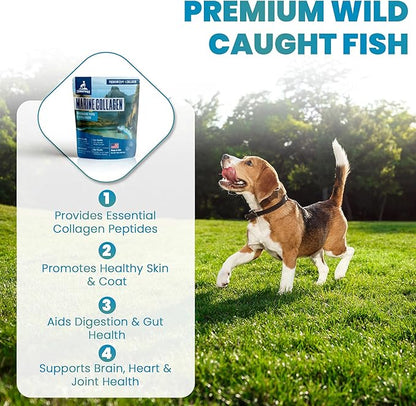 Wild Caught Marine Pet Collagen for Dogs, Peptide for Dogs - Improves Gut, Skin & Coat Health, Allergies, Pet Mobility Hip & Joint Supplement Health