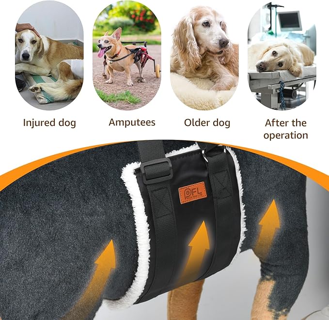 Adjustable Dog Lift Harness, Dog Sling for Large Dogs Lift Support and Rehab Harness for Weak Rear Legs, Soft Hind Leg Support Helps Senior, Injured, Disabled and After ACL Surgery Dogs(Black,Small)