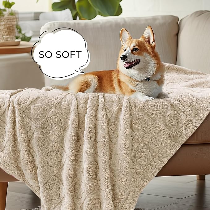 Luciphia Small Dog Blanket Washable Pet Bed Cover Soft Fluffy Puppy Blanket with Premium Fleece Cozy Calming Cat Blankets for Indoor Cats Beige 57x40 inch