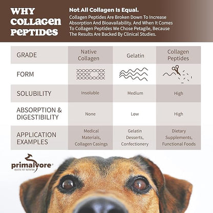 Primalvore All-Natural Duck Bone Broth for Dogs &Cats, Mobility Formula w/Collagen Peptides for Hip & Joints, Digestion, Skin & Coat and Hydration. Grain Free, Human Grade, Made in USA. Duck 6 Pack