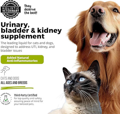 Cat & Dog Urinary Tract Treatment, Bladder & Kidney Support for Dogs and Cats, Powerful Yet Gentle Pet Care, with Liquid Cranberry & Glucosamine, Salmon Flavor, 6 oz Bottle, 1 Pack