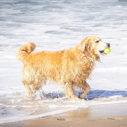 Hyper Pet Tennis Balls for Dogs - 12 Pack 2.5" for Exercise and Fetch, Interactive Toys, Great for Small Breeds