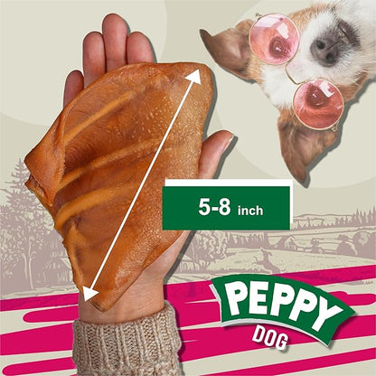 Full Pig Ears for Dogs (25 Count, 2.3 lb) | Natural Single Ingredient Dog Treats | Rawhide Alternative | Healthy Chews by Gnaws