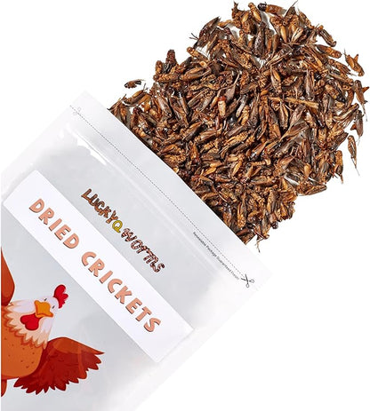 Dried Crickets 1 lb for Chickens, Wild Birds, Hedgehogs, Reptiles, Lizards, Bearded Dragons, Fish, Turtles - High Protein Natural Insect Food Resealable Bag
