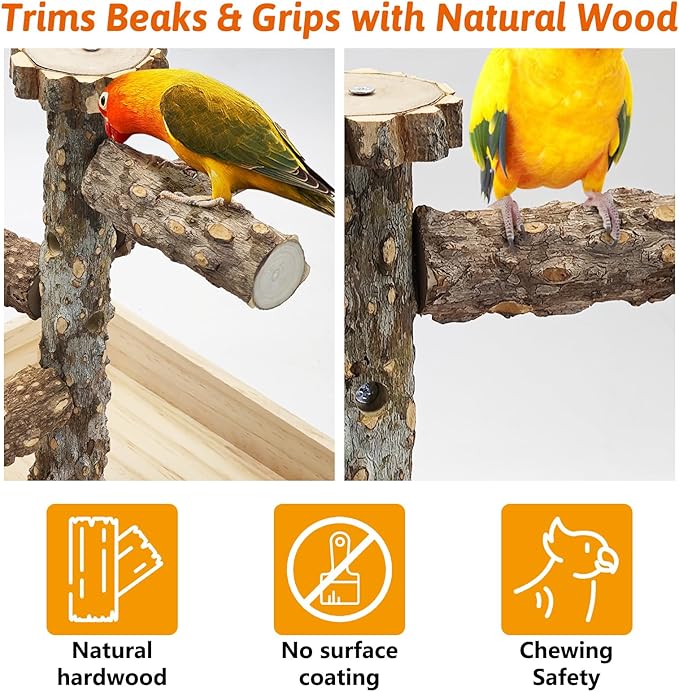 BNOSDM Portable Bird Perch Stand with Potty Tray, Natural Wood Tabletop Training Gym Parrot Playground Toy for Budgies, Cockatiels, Lovebirds,Conures Canaries