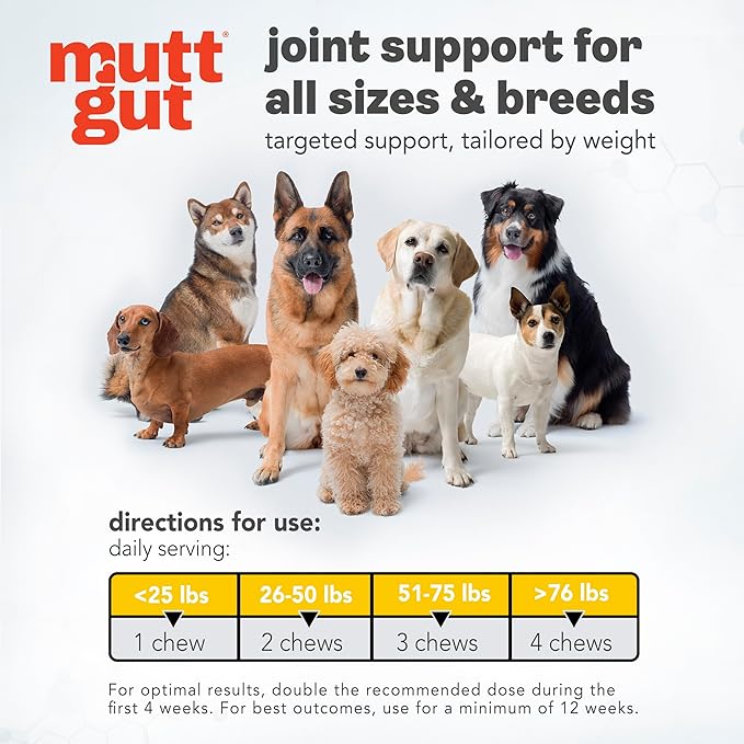MuttGut® Mobility Chews for Dogs - Glucosamine Chews with MSM, Turmeric & Algae Oil Powder - Joint Support & Hip Health Supplement for Dogs - Vet Recommended, cGMP Certified - 60 Soft Chews