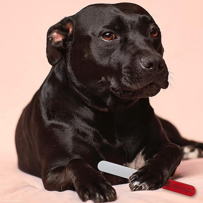 Warren London Glass Dog Nail File for Dogs- Sandblasted Glass Dog Nail Filer for Dogs- Best Dog File for Nails in Dog Claw Care