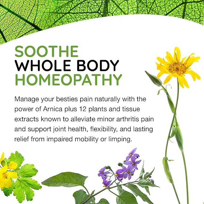 MediNatura T-Relief Pet Arthritis Relief Arnica +12 Powerful Natural Homeopathic Medicines Help Ease Hip & Joint Pain Soreness & Stiffness for Dog & Cat - 90 Tablets