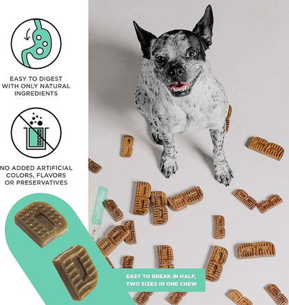 BIXBI Natural Dog Dental Care Chews Oral Health Dog Treats, for Mini/Small Size Dogs, 30 Treat Pack