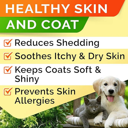 StrellaLab 64 OZ Salmon Oil for Dogs - Omega 3 for Dogs & Cats, Itch & Allergy Relief, Wild Alaskan Salmon Oil Dogs Skin & Coat, Dog Fish Oil Liquid, Shedding Supplement EPA & DHA Fatty Acids - 2Packs