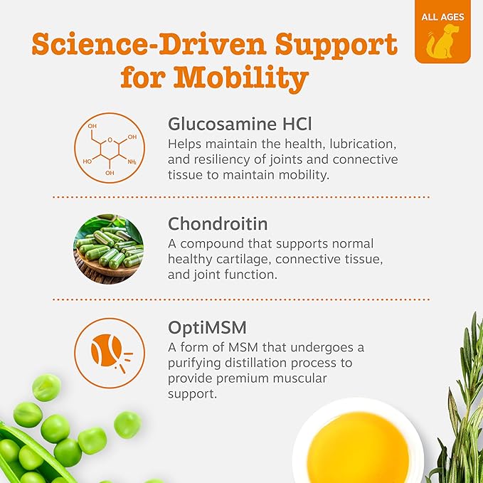 Zesty Paws Hip and Joint for Dogs, Glucosamine for Dogs Hip and Joint Supplement with Chondroitin, MSM, Vitamins C & E - Bacon, 90 Count