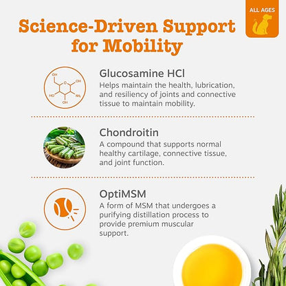 Zesty Paws Hip and Joint Supplement for Dogs - Glucosamine with Chondroitin, MSM, Vitamins C and E Dog Joint Relief - Mobility Bites Duck – 90 Count