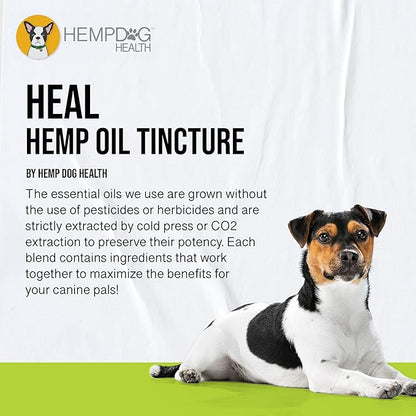 HEAL - Pet Hemp Oil for Dogs - Immune System & Senior Dog Support - Neurological & Adrenal Balance - Daily Wellness Drops