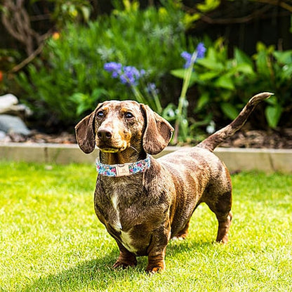 Lionheart glory Dog Collar Pink Flower Dogs Collar Spring Summer Cute Collars Dog Girl or Boy Soft Durable Adjustable Dog Collars for Large Dogs Pet Gift