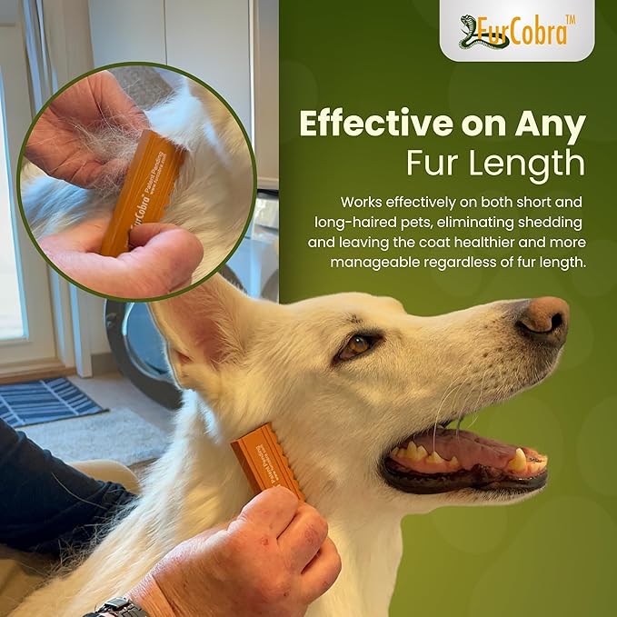 Direct 10 Pet Grooming Brush - Gentle, No Metal Blades, Soft Dog Brush, Cat Brush - Train Pets to be Brushed - Slicker Pet Brush, Puppy Brush, Kitten Brush, Cat Hair Brush, Dog Hair Brush