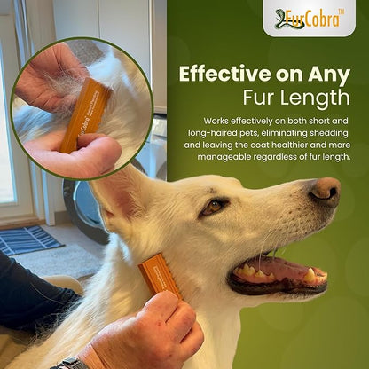 Direct 10 Pet Grooming Brush - Gentle, No Metal Blades, Soft Dog Brush, Cat Brush - Train Pets to be Brushed - Slicker Pet Brush, Puppy Brush, Kitten Brush, Cat Hair Brush, Dog Hair Brush