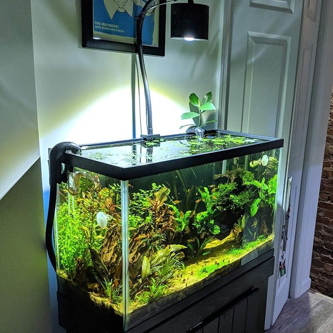 Lominie LED Aquarium Light, Remote Control 80W Planted Fish Tank Light Asta120 Clamp Clip Lamp for Freshwater Refugium Algae Fish Tank with Gooseneck (F120 80W Freshwater)