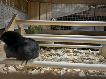 Chick Perch Chicken Coop Toys and Accessories,Chick Roosting Bar,Brooder for Baby Chicks,Strong Wooden Bird Perch. (Style 1, 14.4" x 10.7" x 6.7)