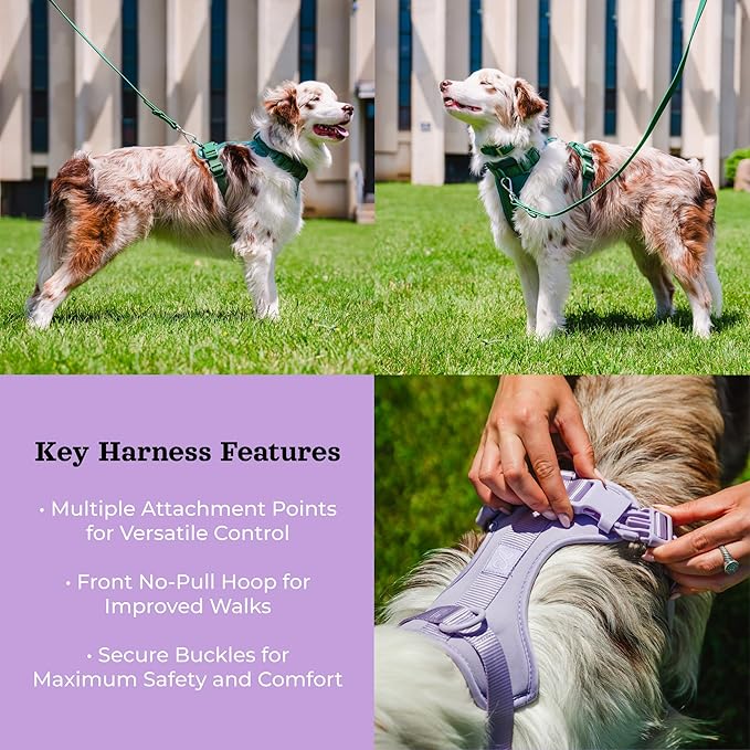 Dog Harness and Leash Set | BearBone No Pull Dog Harness and Waterproof Dog Collar and Leash Set | Heavy Duty Dog Harness, Leash and Collar | Medium Dog Harness, Leash and Collar (Lilac, Medium)