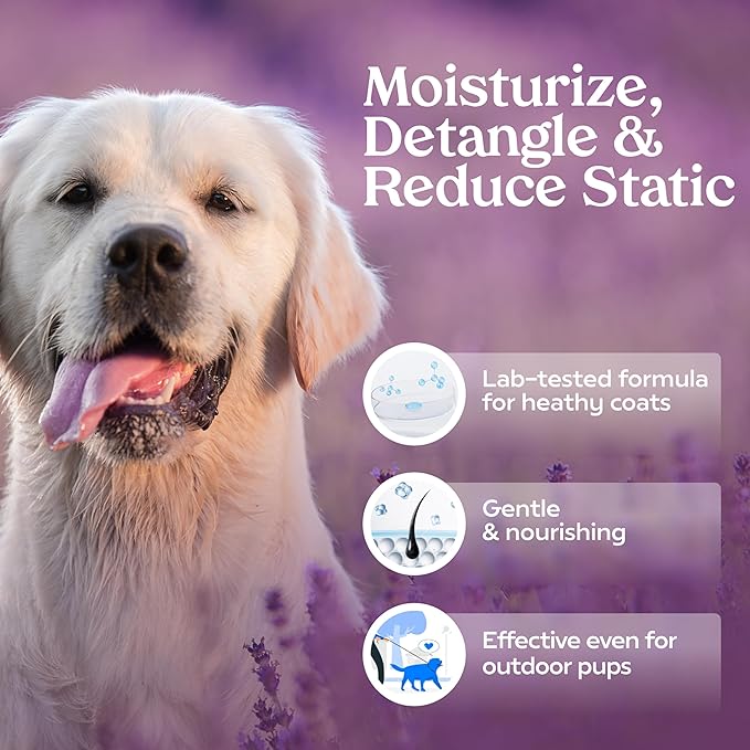 PAWFUME Dog Detangler Grooming Spray, Royal Lavender, 4-Pack  Keeps Pups Fresh All Day  Hypoallergenic, Alcohol-Free, Detangling & Moisturizing  Salon-Quality Dog Necessities for Coat & Fur Care