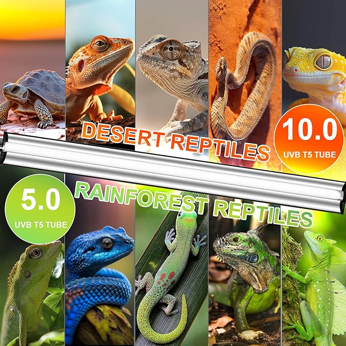 39W T5 10.0 UVB Reptile Light Fixture – 34” Linear UVA/UVB Lamp with High Output for Bearded Dragons, Tortoises & Lizards, Perfect for Desert & Tropical Terrariums