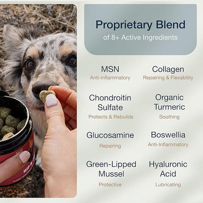 Pure Dogs Hip & Joint Dog Chews - Glucosamine Chondroitin & Green Lipped Mussel for Joint Pain Relief, Function & Mobility, Gut & Digestive Support - for Large & Small Breeds - 90 Chews