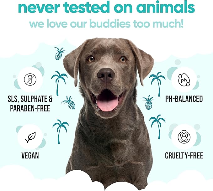 Tropical Dog Shampoo by Buddycare | Dry Skin & Itchy Skin Relief for Smelly Dogs | Deep Cleansing Shampoo for Dogs Puppy Sensitive Skin | Dog Shampoo & Conditioner | with Aloe & Vitamin B5 (16.90oz)