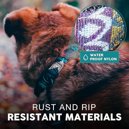 Embark Urban Dog Collar  Dog Collar Stylish & Durable Nylon Dog Collar for Large Dogs, Small Dogs & Medium Dogs.Comfortable Pet Collar Strong Buckles for Any Size Breed (Azure, Large)