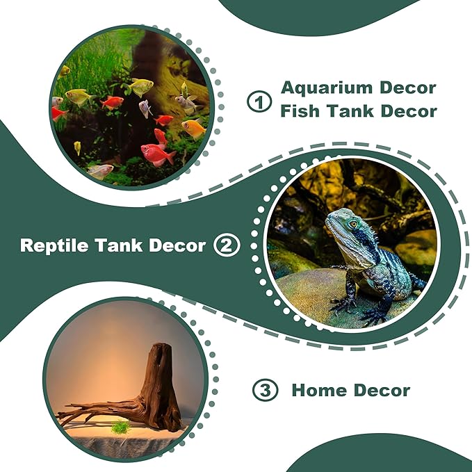 Natural Wood Driftwood for Aquarium Fish Tank Decor,Assorted Trunk Driftwood Branch for Reptile Decor (ZYM Driftwood Medium (8 to12 Inch)-Pack of 1)