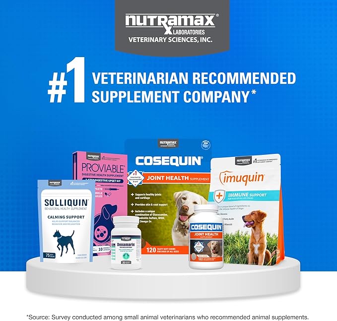 Nutramax Laboratories Cosequin Maximum Strength Joint Health Supplement for Dogs - With Glucosamine, Chondroitin, and MSM, 2 Pack, 264 Total Chewable Tablets