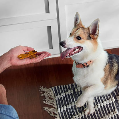 Rachael Ray Nutrish Turkey Bites Real Meat Grain Free Dog Treats, Turkey Recipe with Hickory Smoked Bacon Flavor, 5 Ounces (Pack of 5) Packaging May Vary