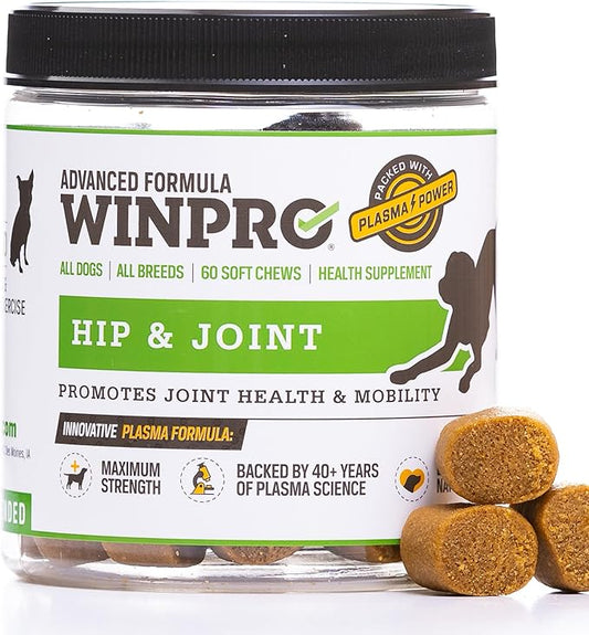 WINPRO Hip & Joint Supplement for Dogs - Plasma Powered Chews for Joint Health & Mobility – Fast-Acting with Collagen & Natural Ingredients for Dogs of All Breeds – 60 Chews – Made in USA