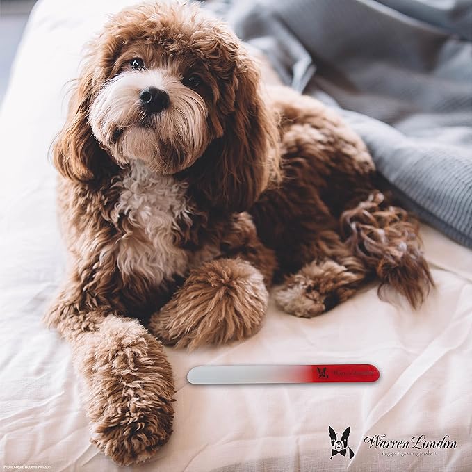 Warren London Glass Dog Nail File for Dogs- Sandblasted Glass Dog Nail Filer for Dogs- Best Dog File for Nails in Dog Claw Care