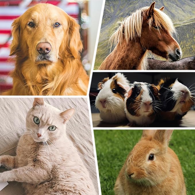 2PCS Dog and Cat Brush, Stainless Steel Pets Grooming Comb Kit, Detangler Deshedding Brush, Metal Knots Hair Remover 6.4" 7.5"