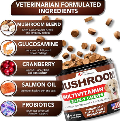 (2 Pack) Mushroom for Dogs - 340 Chews - Turkey Tail - Mushroom Supplement for Dogs - Lions Mane - Reishi - Immunity Support Multivitamin Vitamins - Joint Health - Energy - Gut - Skin - Made in USA