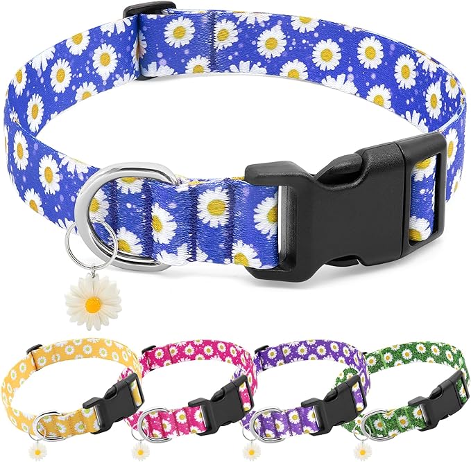 BiPawTi Floral Dog Collars for Medium Dog - Soft Cute Dog Collars for Girls Dog Pretty Flower Collar with Daisies Charms, Gift for Female Male Boys Girls Dogs (M, Blue)