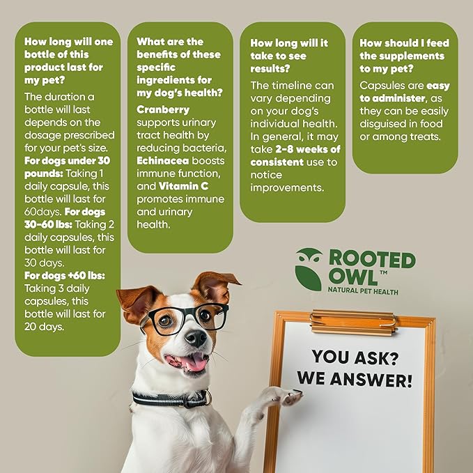 Rooted Owl Urinary Support - Echinacea and Cranberry Supplement for Dogs - Dog UTI Prevention - 60/ct