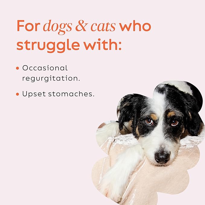 Super Snouts Pumpkin Latte Digestive Supplement for Dogs & Cats, Pumpkin Powder with Goat_ Milk, Made in USA Antibiotic Free, Healthy Gut & Stool, 10 oz