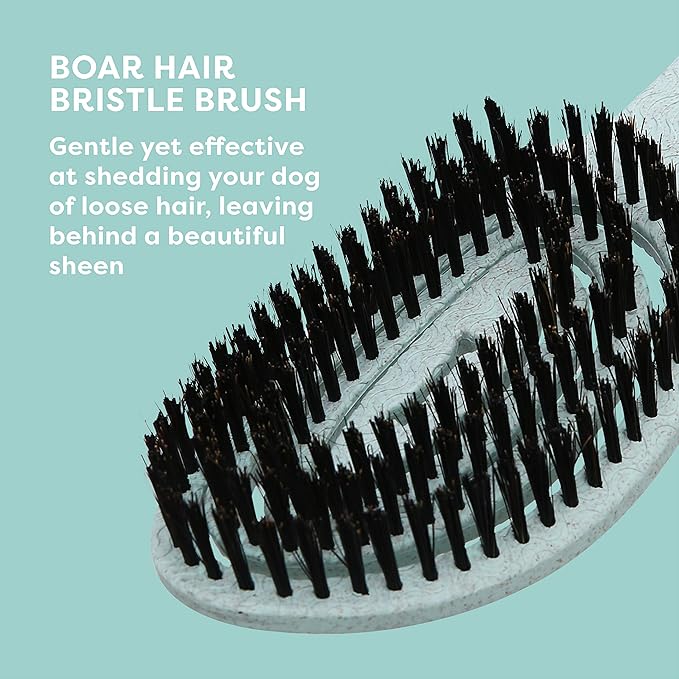 BioSilk for Dogs Eco-Friendly Boar Hair Bristle Brush in Mint Green | Easy to Hold Ergonomic Handle Dog Brush for Shedding | Best Pet Brush for Dog Grooming - 48 Pack