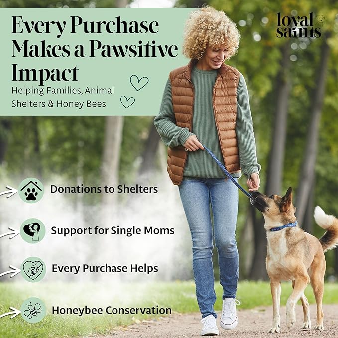 Freeze Dried Raw Dog Food - Premium Beef Flavor with High Protein and Grain Free Dog Food for Small or Large Breeds and Picky Eaters - Versatile as Meal Topper, Snack, and Treats, 14 Oz