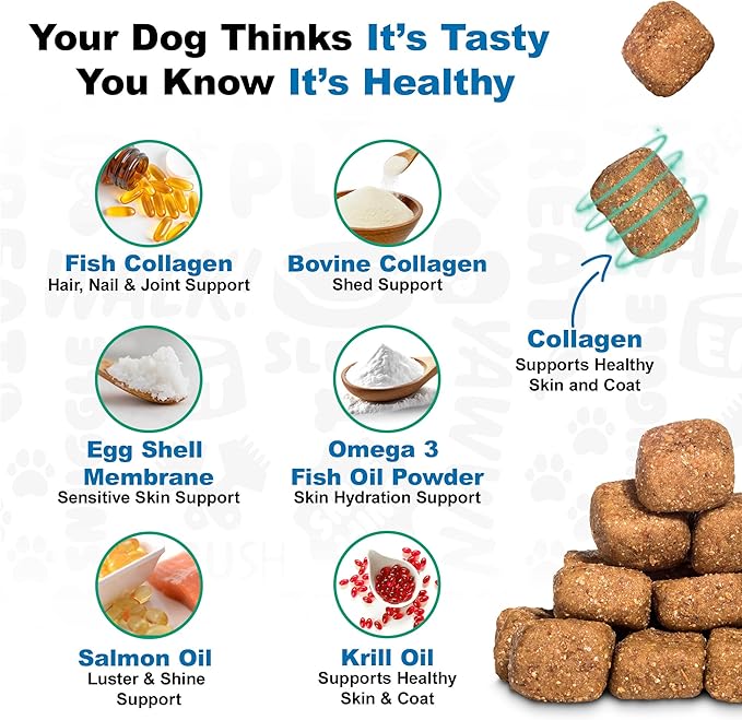 Doggie Dailies Skin & Coat Supplement Support, Salmon Oil for Dogs Skin and Coat with Collagen, Omega 3, Krill Oil, Biotin, & Coconut Oil for Dogs (Salmon) 225 Soft Chews