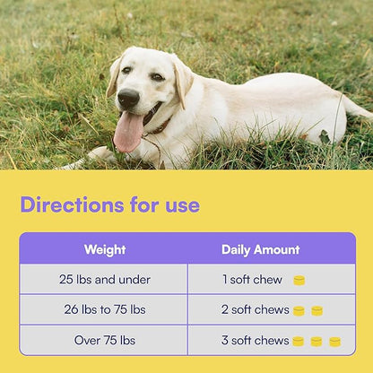 Advanced Hip & Joint Supplement for Dogs - 90 Soft Chews with Glucosamine, MSM, Chondroitin & Multivitamins - Helps Mobility, Flexibility & Arthritis Relief - Made with Pasture-Raised Chicken