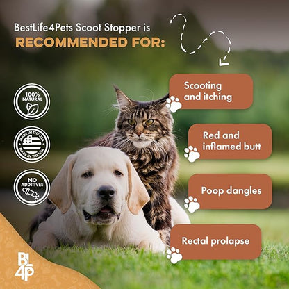 Scoot Stopper for Dogs & Cats – Natural Anal Gland & Digestive Support Supplement for Scooting, Stool Consistency, Constipation, Indoor Accidents & Difficult Pooping – 400 Odorless Pills