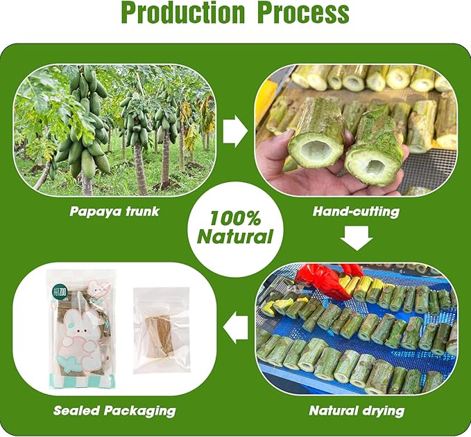 Abizoo Natural Bunny Chew Toys,6 Pcs Organic Papaya Wood Sticks Chew Toys for Rabbit,Hamster,Guinea Pig,Chinchilla,Gerbil,Rat Healthy Chews Teeth Grinding Treats, Squirrel Molar Snack