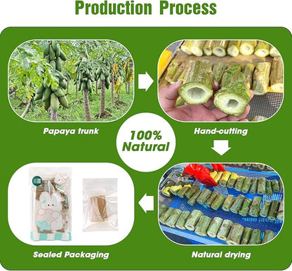 Abizoo Natural Bunny Chew Toys,6 Pcs Organic Papaya Wood Sticks Chew Toys for Rabbit,Hamster,Guinea Pig,Chinchilla,Gerbil,Rat Healthy Chews Teeth Grinding Treats, Squirrel Molar Snack