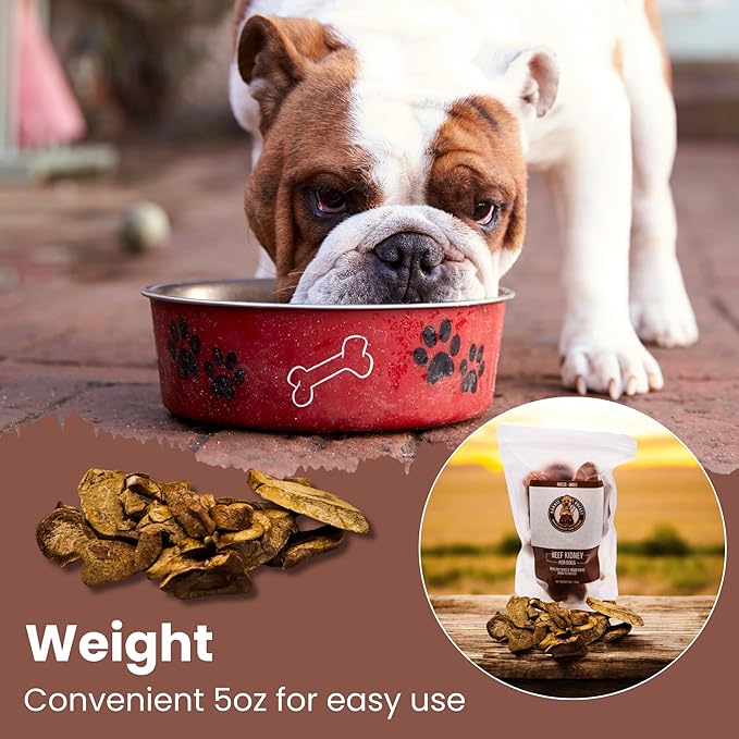 Freeze Dried Beef Kidney Dog Treats - Single Ingredient Beef Dog Treats with High Protein - Low Fat & Carb Dog Snacks for Digestive & Dental Health - 100% Beef - 5oz
