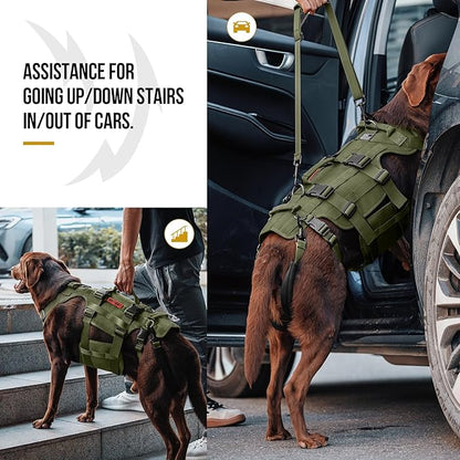 OneTigris Dog Lift Harness for Large Dogs, Dog Hip Support Brace, Full Body Dog Lifter with Handles Invictus Multifunctional Mobility Assistance Vest for Back Legs (Green, Small)