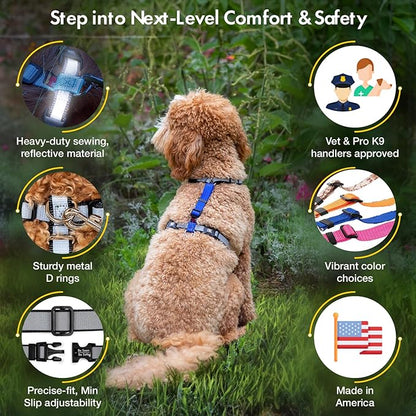 Dog Harness for Medium Dogs No Pull - Fully Customizable Fitment - 3M Reflective Heavy Duty Harness for Walking & Training - No Choke Comfortable Collar Design, Made in USA M-Sky Blue