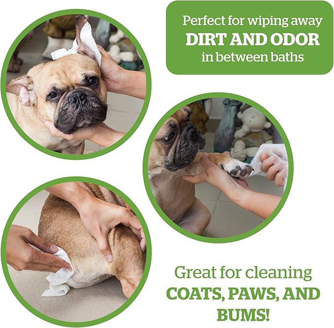 Pogi's 900 Dog Poop Bags w/Handles and 100 Plant-based Grooming Wipes Bundle